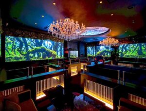 CLUB HARMAN1